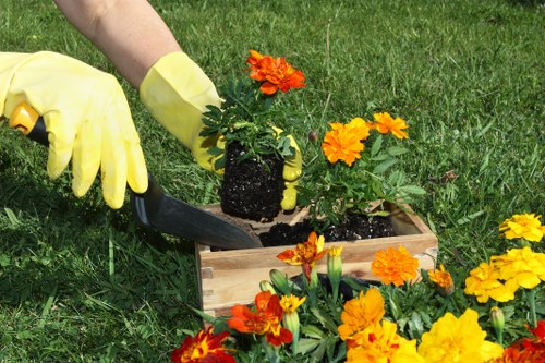 Operative wearing PPE while trimming hedges