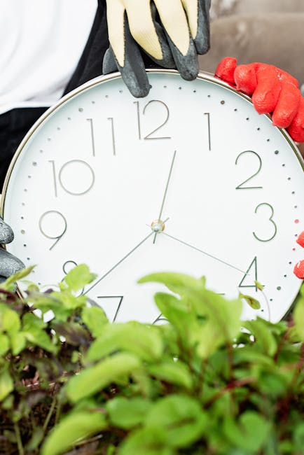 A person wearing a dark hat and long-sleeved top is engaged in hedge trimming in a lush garden. They are using a pair of large hedge shears to carefully prune a dense, green hedge that forms a neat bo
