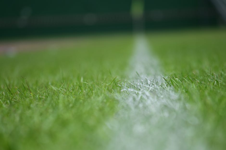 Close-up view of a well-maintained, lush green lawn at Shortlands Recreation Ground, showing freshly cut grass with a distinct white line marking the boundary or a boundary strip, likely created durin